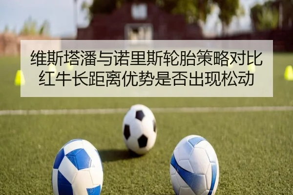 维斯塔潘与诺里斯轮胎策略对比 红牛长距离优势是否出现松动